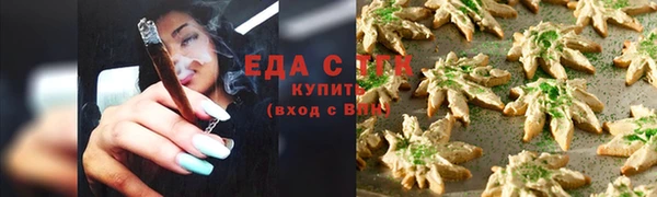крисы Магас
