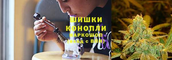 прущие грибы Магадан