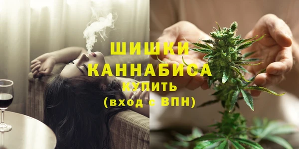 крисы Магас