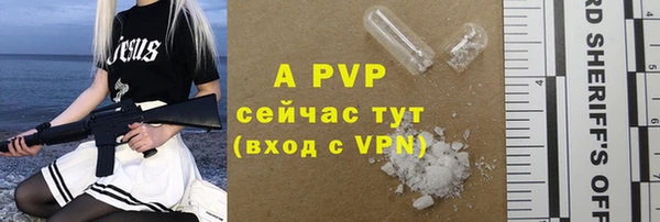 прущие грибы Магадан