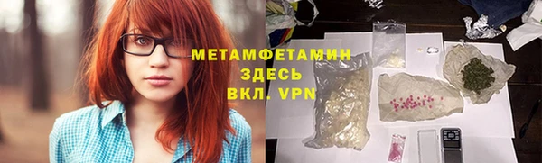 прущие грибы Магадан
