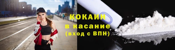 крисы Магас
