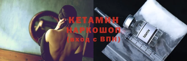 крисы Магас