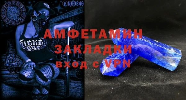 прущие грибы Магадан