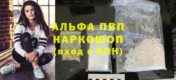 прущие грибы Магадан