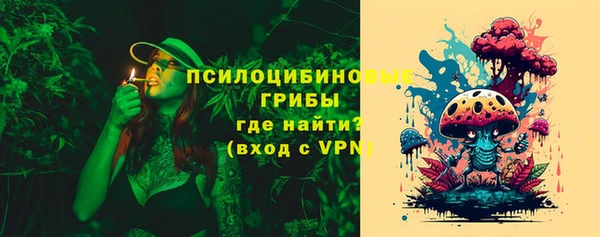 крисы Магас