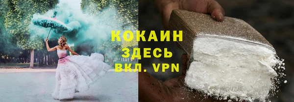 крисы Магас