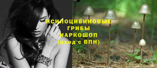крисы Магас